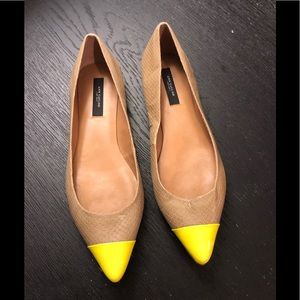 Ann Taylor pointy flats